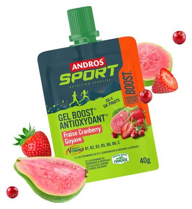 Antioxidant Gel Andros Sport Strawberry/Cranberry/Guava 40g