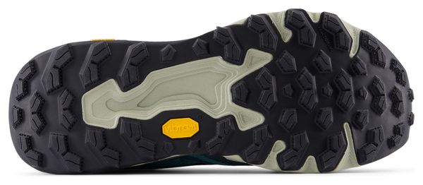 Chaussures Trail New Balance Fresh Foam X Hierro v9 Bleu Homme