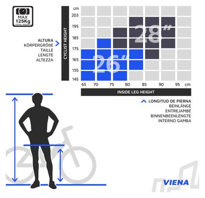 Urbanbiker Viena | Trekking VAE | 200KM Autonomie | Bleu | 26"