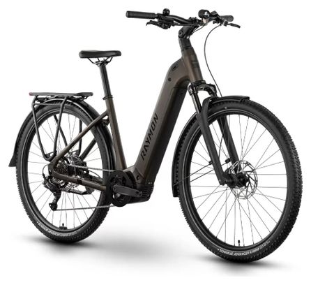 VTC Électrique Raymon Tahona Wave Shimano Essa 8V 600Wh 29'' Marron 2025