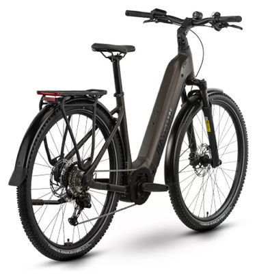 VTC Électrique Raymon Tahona Wave Shimano Essa 8V 600Wh 29'' Marron 2025