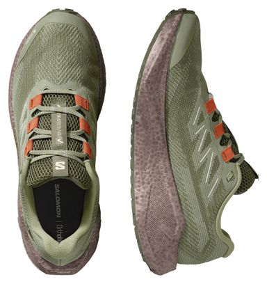 Laufschuhe Salomon Aero Blaze 3 GRVL GTX Grün Herren