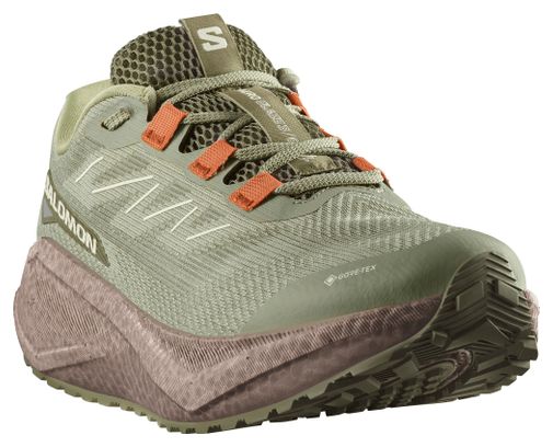 Laufschuhe Salomon Aero Blaze 3 GRVL GTX Grün Herren
