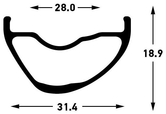 Stan's NoTubes Arch MK4 29'' Felge
