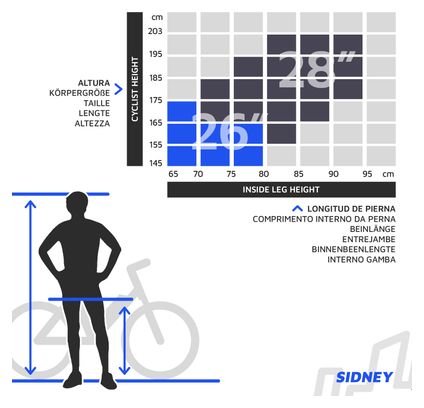 Urbanbiker Sidney | VAE de ville | 100KM Autonomie | Noir | 26"