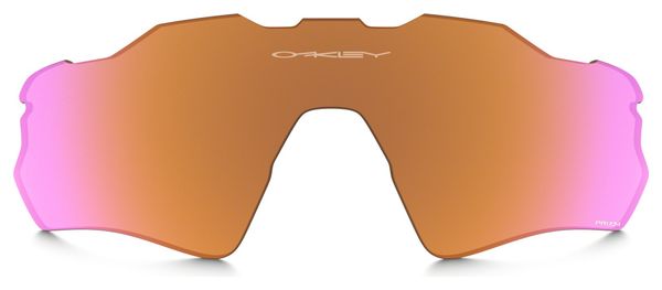 Verre Oakley Prizm Trail 101-116-008 Pour Radar EV 