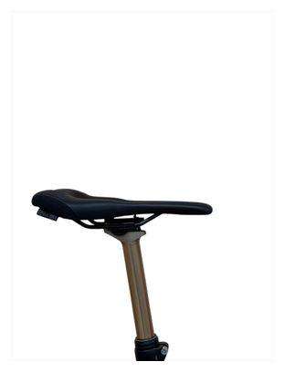 Produit reconditionné . Bulls Sonic Evo AM SL 1 XT 2023 . VTT électrique . Bulls . très bon état