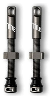 Valves Tubeless Title Gris