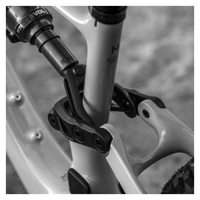 Amflow PX Carbon 12 V, 700 Wh, DJI, 150 Nm, 29''/27,5'', Schwarz, 2026 – vollgefedertes E-Mountainbike