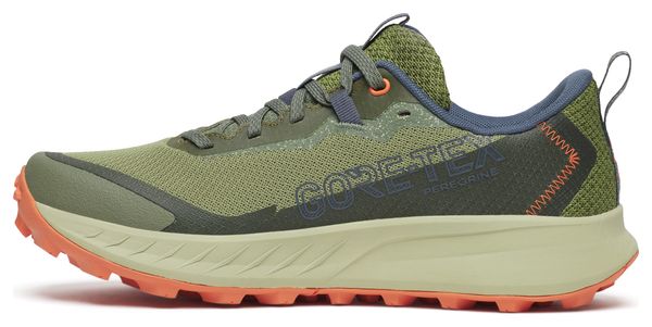 Zapatillas de trail para mujer Saucony Peregrine 15 GTX Verde/Beige