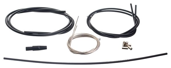 CAMPAGNOLO Centaur Shifters 11s Black | Alltricks.com