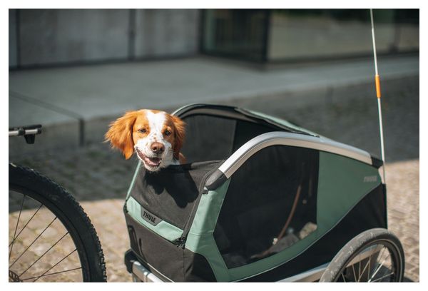 Thule Bexey M (Medium) Animal Bike Trailer Hazy Green