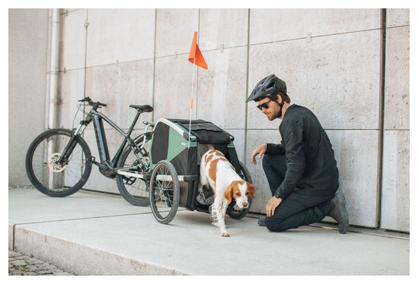Thule Bexey M (Medium) Animal Bike Trailer Hazy Green