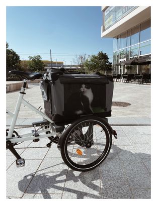 Kit de remolque trasero para bicicletas - transporte de animales