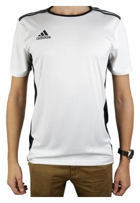 Adidas Entrada 18 JSY CD8438 Homme t-shirt Blanc