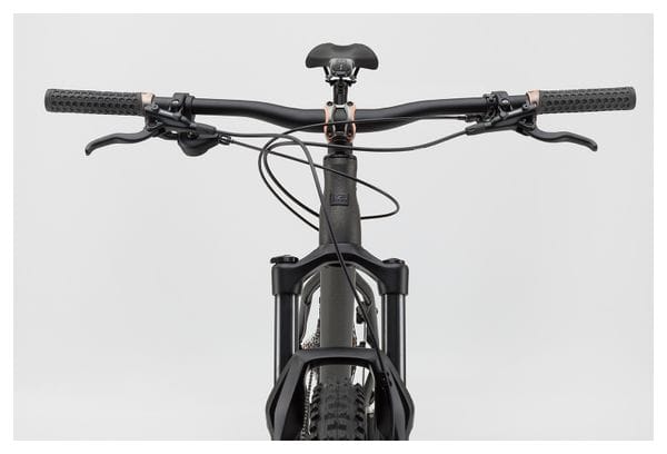 VTT Semi-Rigide NS Bikes Eccentric Alu Shimano Deore M6100 12V 29'' Noir 2022