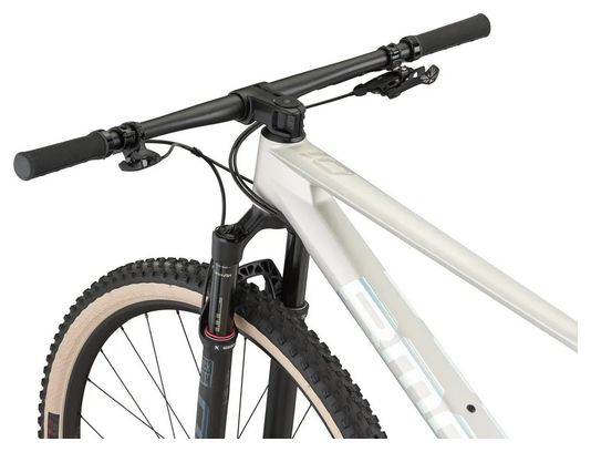 BMC Twostroke 01 One Hardtail MTB Sram GX Eagle 12S 29'' Arctic Silver Prisma 2021