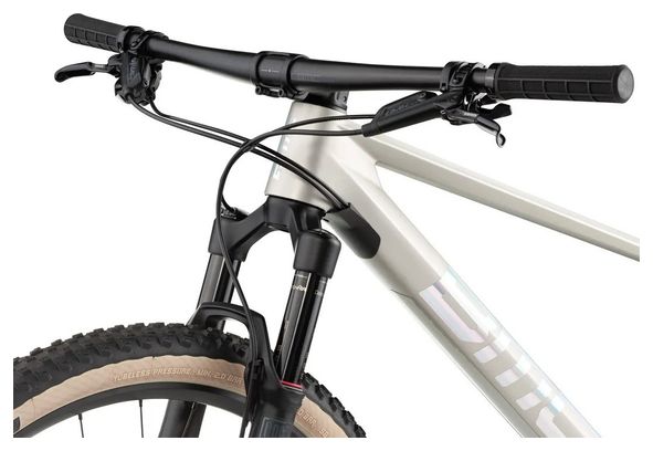 BMC Twostroke 01 One Hardtail MTB Sram GX Eagle 12S 29'' Arctic Silver Prisma 2021