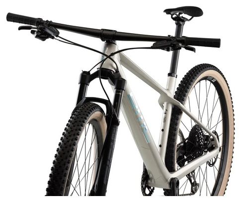 VTT Semi-Rigide BMC Twostroke 01 One Sram GX Eagle 12V 29'' Gris Arctic Silver Prisma 2021