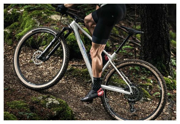 BMC Twostroke 01 One Hardtail MTB Sram GX Eagle 12S 29'' Arctic Silver Prisma 2021