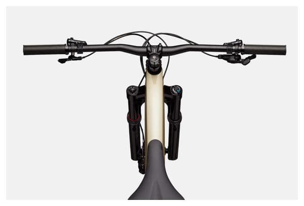 Cannondale Habit Carbon 2 Shimano SLX/XT 12V 29'' Beige Full-Suspension Mountainbike