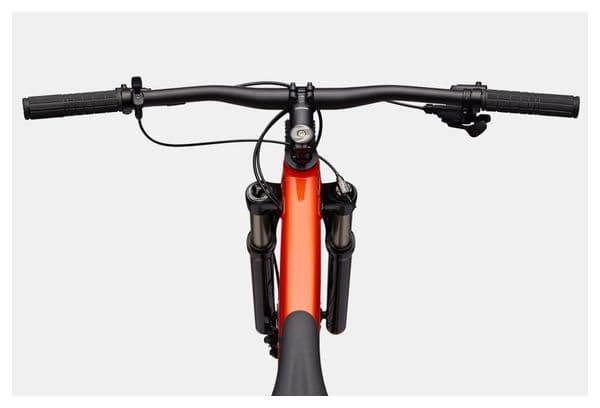 Mountainbike Semi-Rigid Cannondale Trail SL 4 MicroShift Advent X 10V 29'' Orange/Schwarz