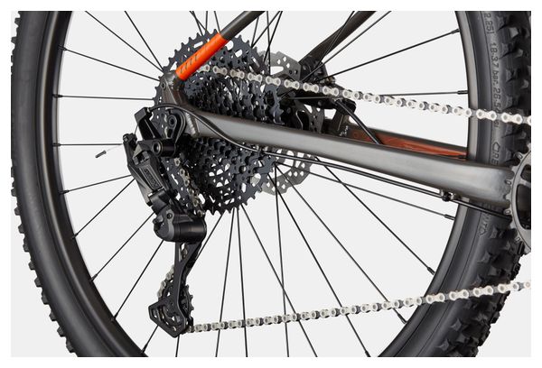 Cannondale Trail SL 4 MicroShift Advent X 10V 29'' Orange/Black MTB