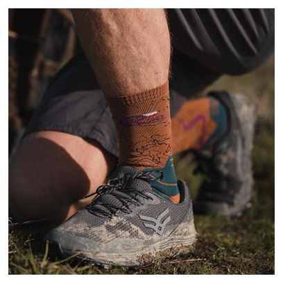 BV Sport Trek Collector GR20 Marron Vert socks