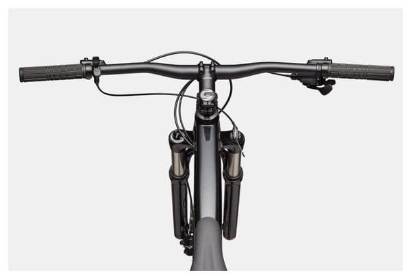Cannondale Trail SL 4 MicroShift Advent X 10V 29'' Semi-Rigide Mountainbike Zwart/Zilver