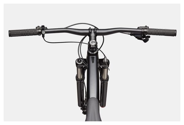 Cannondale Trail SL 4 MicroShift Advent X 10V 29'' Black/Silver MTB
