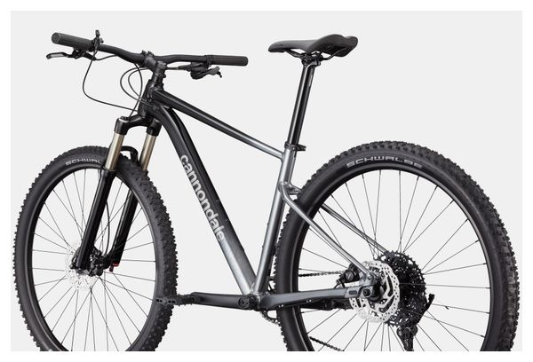 Bicicleta de montaña semirrígida Cannondale Trail SL 4 MicroShift Advent X 10V 29'' Negra/Plata