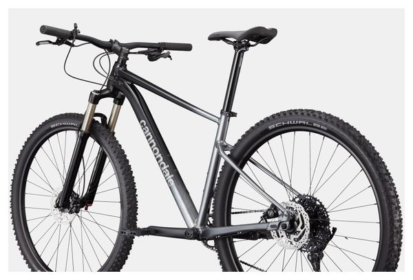 Cannondale Trail SL 4 MicroShift Advent X 10V 29'' Schwarz/Silber Mountainbike