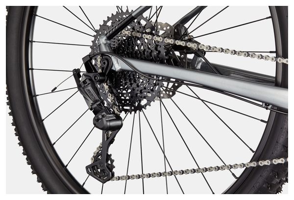 Cannondale Trail SL 4 MicroShift Advent X 10V 29'' Black/Silver MTB
