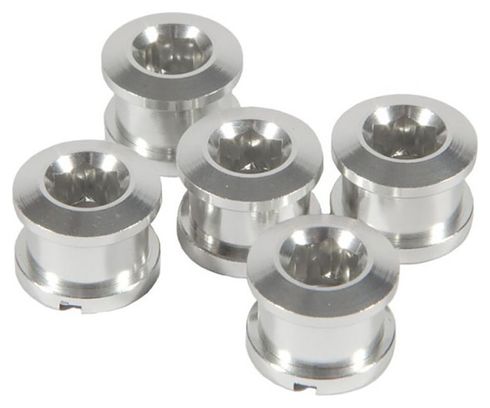 Set van 5 Voorste Alu Schoorsteen Schroeven 6,5mm Zilver