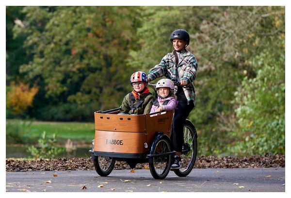 Babboe Curve Mountain Elektrische Driewiel bakfiets Enviolo NuVinci 500 Wh 20/26'' Antraciet Grijs Bruin 2023