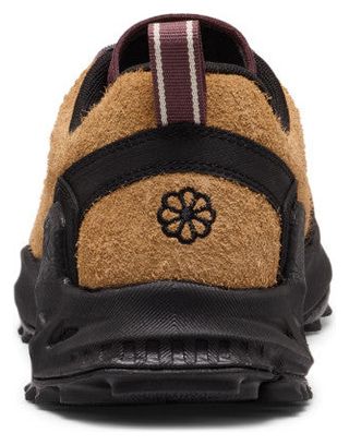 Chaussures de Randonnée Keen Jasper Zionic Beige Homme