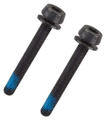 Tornillo de pinza Campagnolo H11 de 39 mm