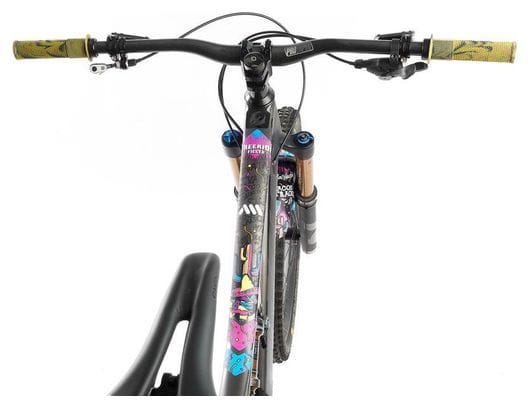 All Mountain Style Extra Frame Protection Freeride Fiesta