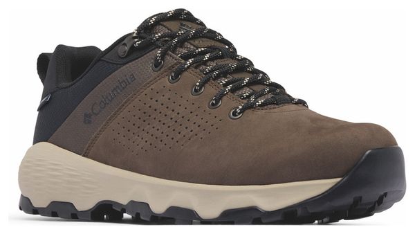 Chaussures de Randonnée Columbia Newton Nimble LTR Marron