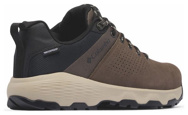 Chaussures de Randonnée Columbia Newton Nimble LTR Marron