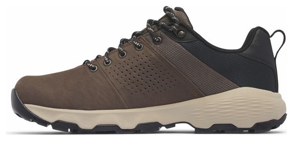 Chaussures de Randonnée Columbia Newton Nimble LTR Marron