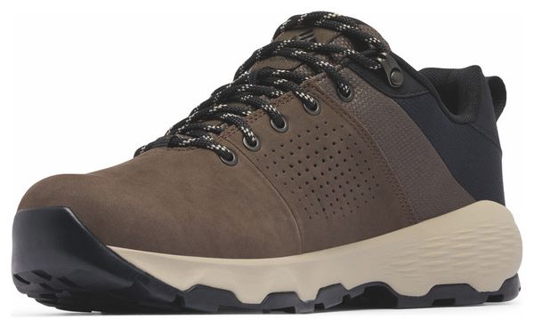 Chaussures de Randonnée Columbia Newton Nimble LTR Marron