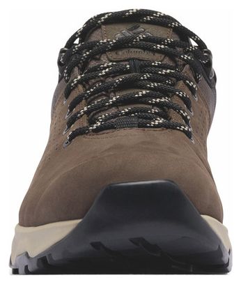 Chaussures de Randonnée Columbia Newton Nimble LTR Marron