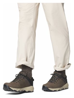 Chaussures de Randonnée Columbia Newton Nimble LTR Marron