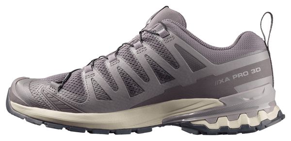 Salomon XA Pro 3D v9 Trail-Schuhe Grau Herren