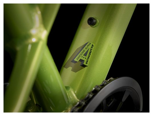 Trek Wahoo Trail MicroShift Advent 9V 20'' Groen 2024 Rigid Kindermountainbike
