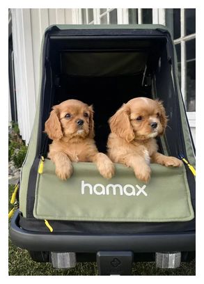 Hamax Pluto Pet Trailer