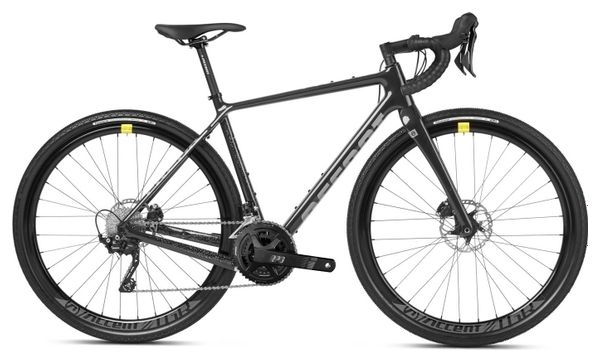 Bicicleta de Grava Accent Freak Carbono Shimano GRX 10V 700 mm Negro / Gris 2022