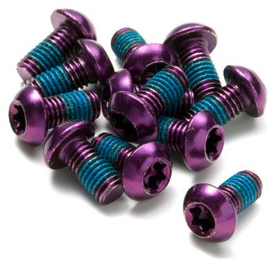 Reverse Disc Rotor Bolt Steel M5 x 10mm Purple