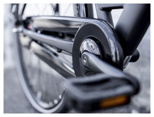 Trek District 1 Equiped Lowstep Shimano Nexus 7V Matte Dnister Black 2023 City Bike